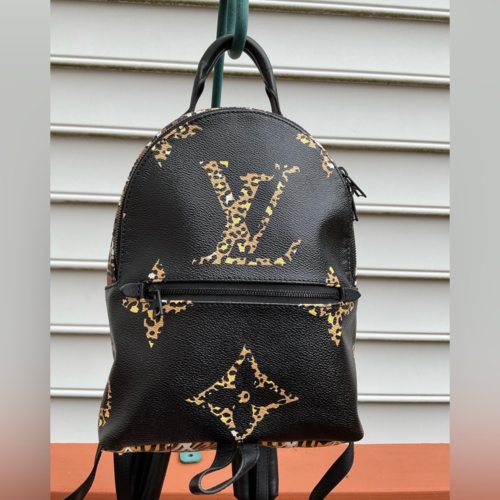 Louis Vuitton Monogram Jungle Palm Springs PM Leopard Backpack​​ - Picture 14 of 15